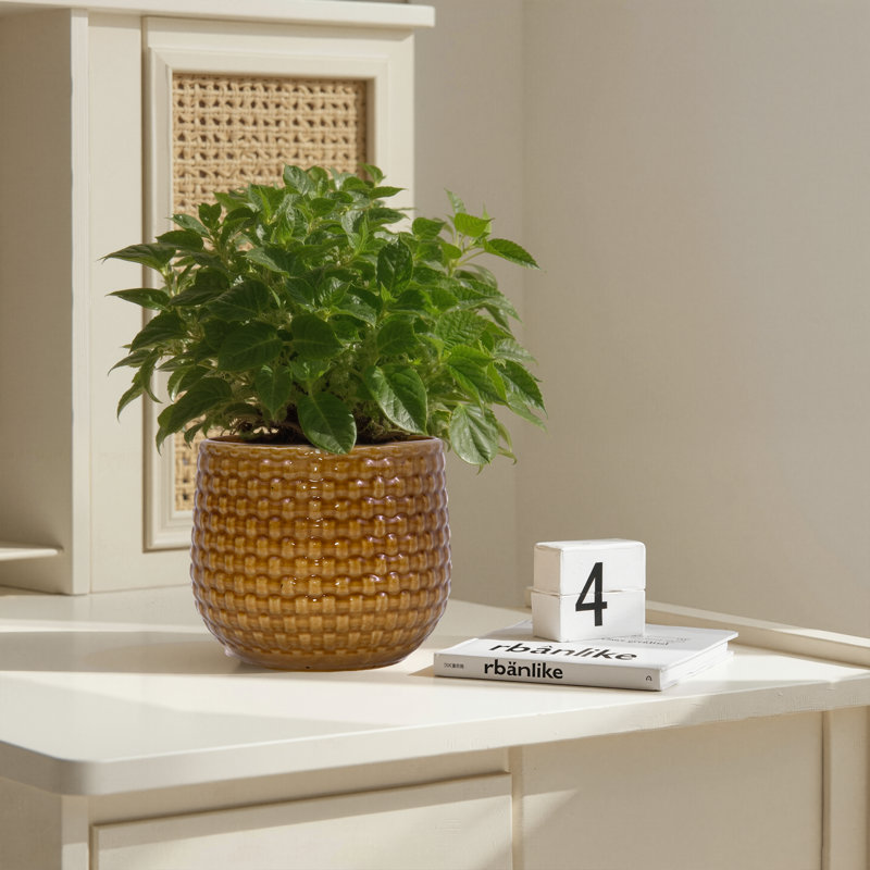 Ensemble de 3 pots de fleurs décoratifs en céramique pour l'intérieur et l'extérieur avec trou de drainage 9 po, Marron foncé