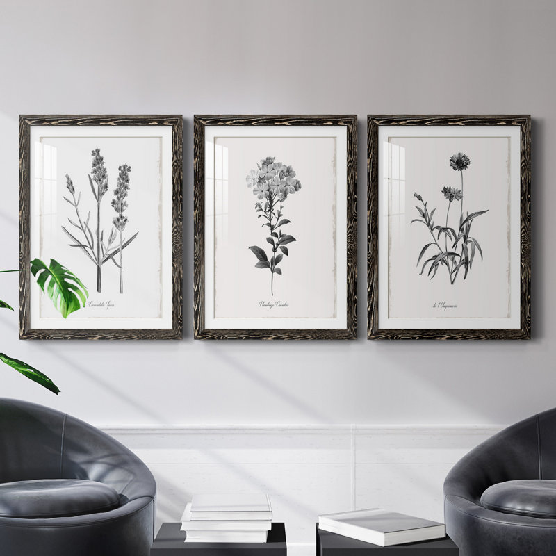 Simply Imperial - Ensemble de 3 cadres photo, H 20 po x l 51 po x P 1,5 po, Noir