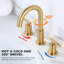 Robinet de salle de bain surdimensionné à 2 poignées avec drain-91951165