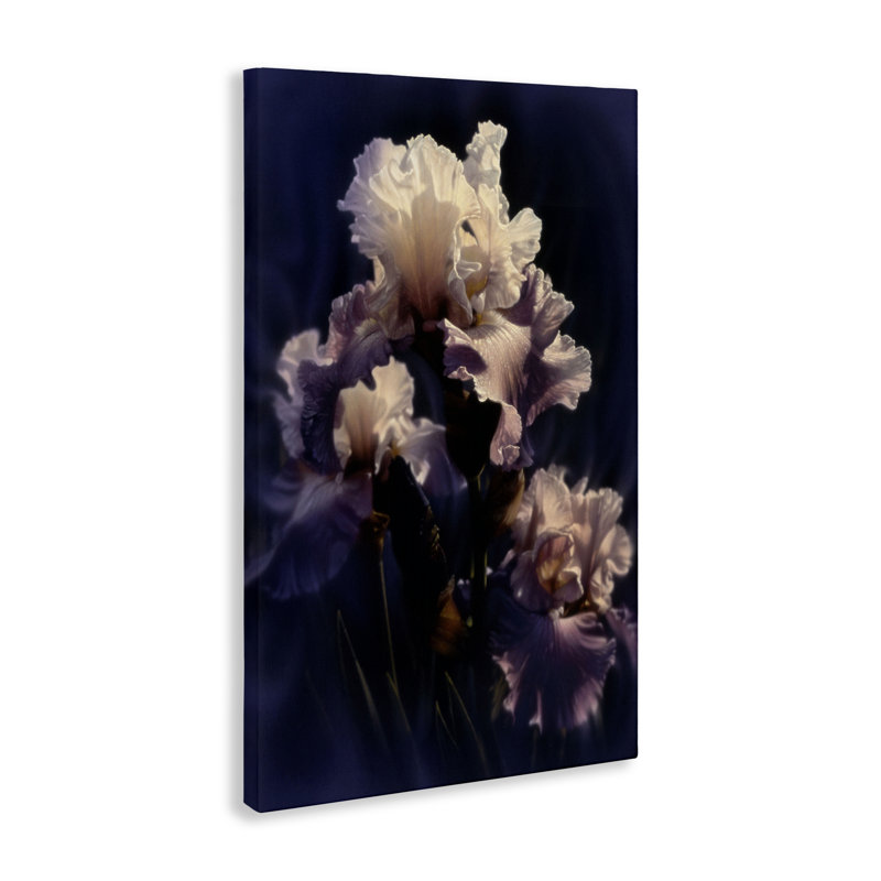 Iris Close Up Canvas, design by Collin Bogle, 30" H x 20" W