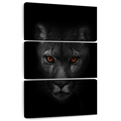 Cougar foncé Brampt