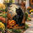 Chat noir, orange et lune