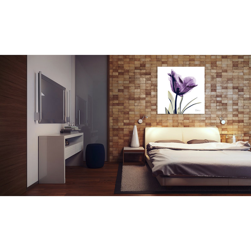 Tulip Dream - Wrapped Canvas Print, 30 cm H x 30 cm W