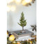 Ensemble de deux arbres de Noël artificiels avec neige réaliste sur base en bois, décor de vacances idéal pour divers espaces intérieurs