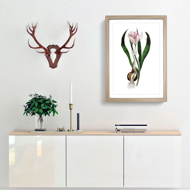 Autumn Crocus Flowers Illustration - Framed Print, Oak Framed, 63cm H x 45cm W x 2cm D