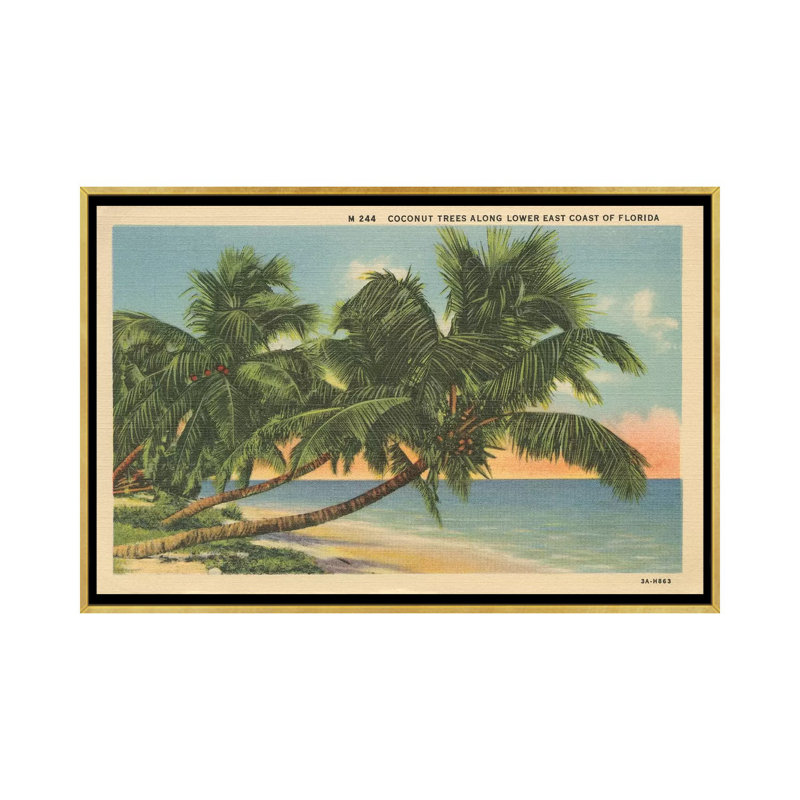 Carte postale de Floride III - impression d'art graphique, Toile encadrée d'or, H 32 po x l 48 po x 1,5 po, Aucun mat