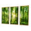 Forêt avec rayons de soleil, ensemble de 3 toiles encadrées-2096340990-2096340988