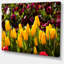 «Beautiful Yellow Tulips Garden», reproduction de photo sur toile tendue-19409478