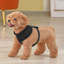 Harnais pour chien en maille, harnais anti-traction ajustable et rembourré avec anneau en D et boucle pour chiens-2013099467-2013099469