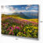 «Summer Day Rhododendron Flowers», reproduction de photo sur toile tendue-19409972