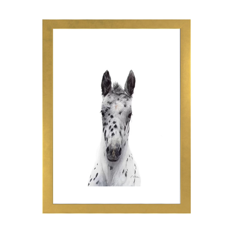 Poulain Appaloosa - reproduction d'art, Blanc, H 32 po x l 24 po x P 1 po, Papier encadré doré