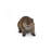 American Beaver Cub Statue