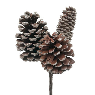 Grappe de pomme de pin givrée