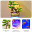 Aquarium moderne 5-10 gallons Aesin