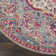 Doynton Oriental Indoor Rug
