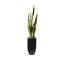 Faux Snake Plant (Sansevieria) Plant in Planter