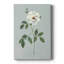 Rose Beauty I - Galas enveloppés de galerie-108843641