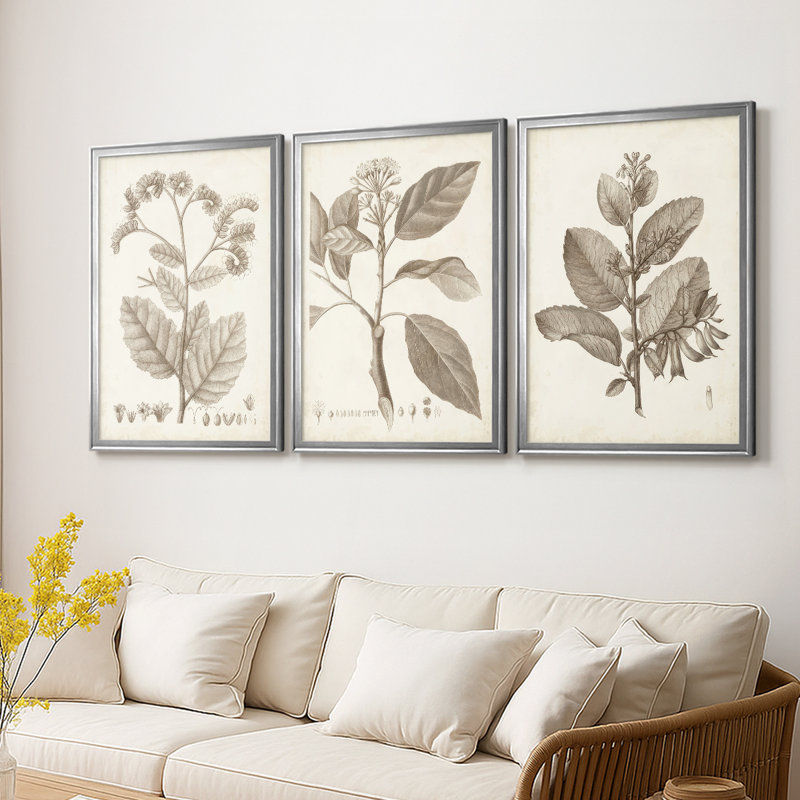 Antique Sepia Botanicals IV  -Custom Framed  Wrapped Gallery Canvas - 3 Pieces, Silver, 19" H x 27" W