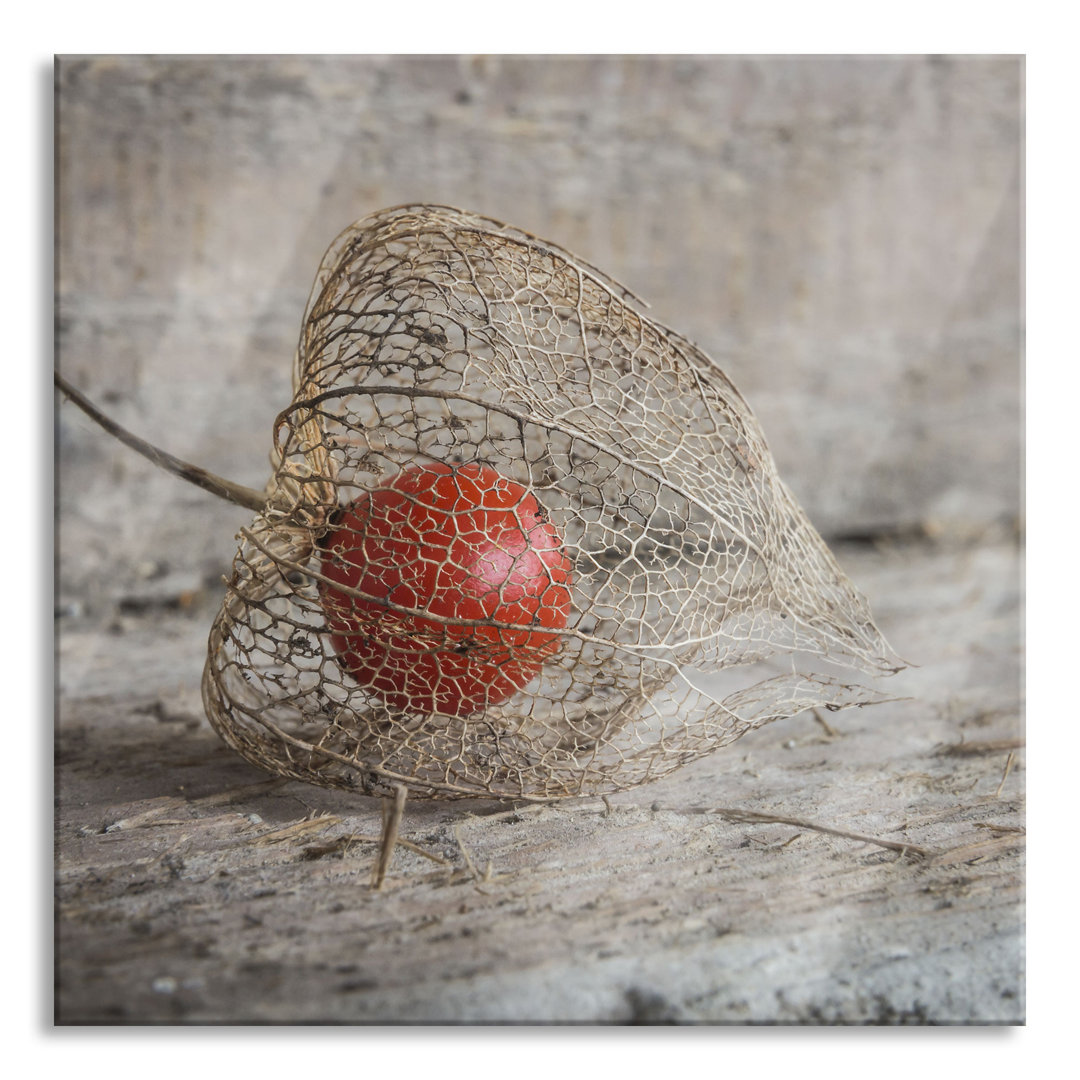 Ungerahmtes Foto auf Glas "Physalis"