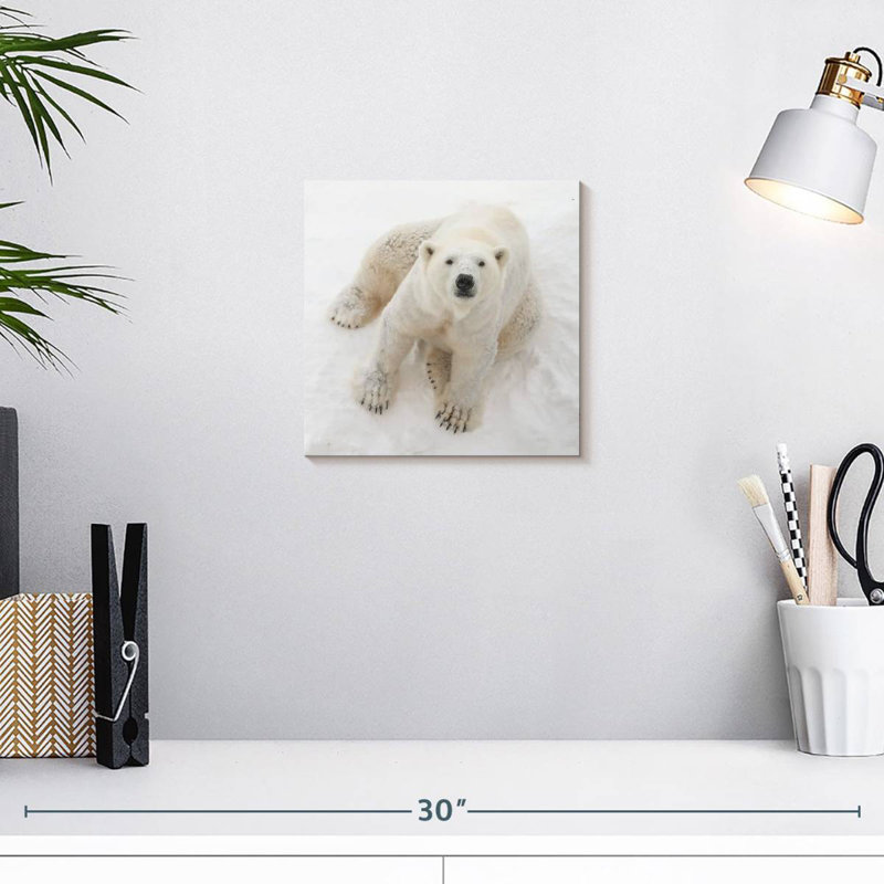 Crowle Polar Bear In Snow, H 10 po x l 10 po