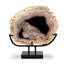 Petrified Wood Sculpture