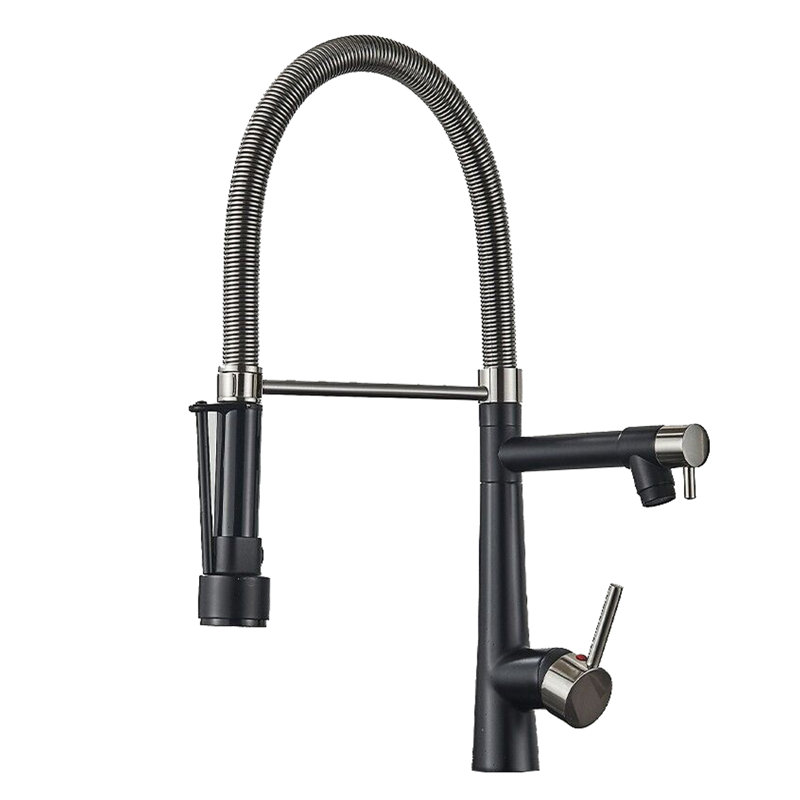 Belfry Kitchen Keneisha Pull Down Kitchen Faucet