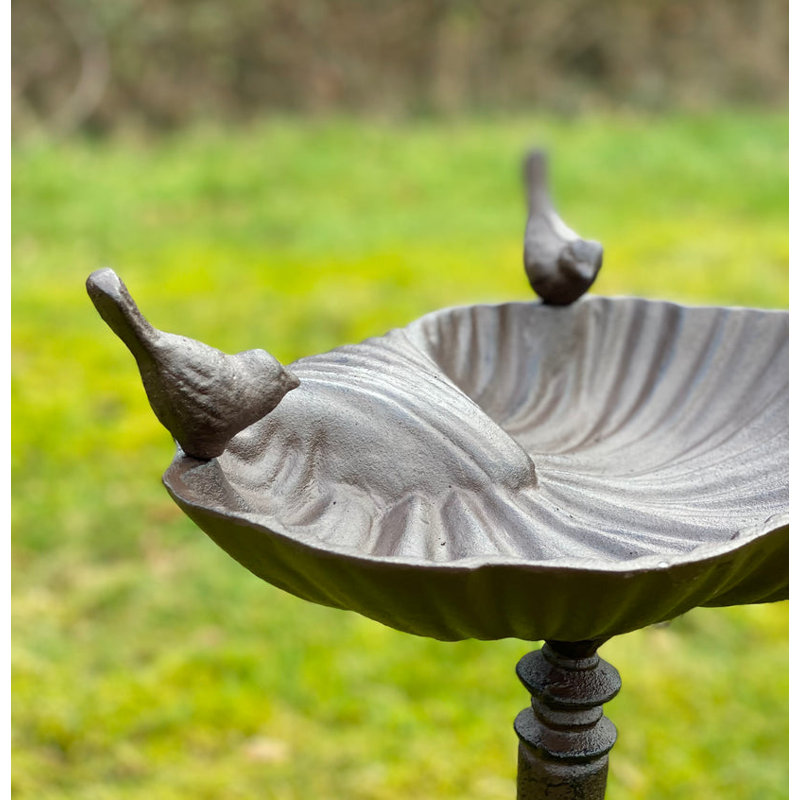 Tulane Metal Pedestal Birdbath