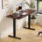 Electric Height Adjustable Standing Desk Frame With Memory Control Panel, Ergonomic Sit Stand Workstation Base For Home And Office
