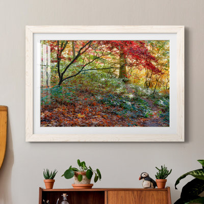 " Secret Garden " by J Paul