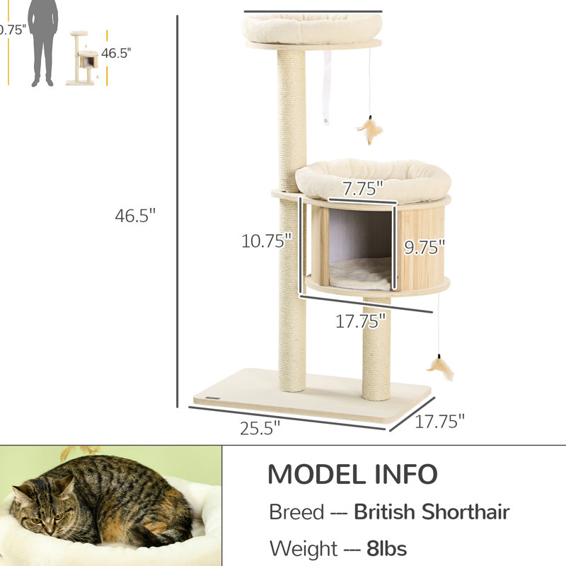 Aire de jeu attrayante pour chat à 3 niveaux, poteaux à griffer, coussins moelleux et aires de jeux. Stable pour chats jusqu'à 9 livres, arbre amusant, coffre-fort sous les livres, amusement
