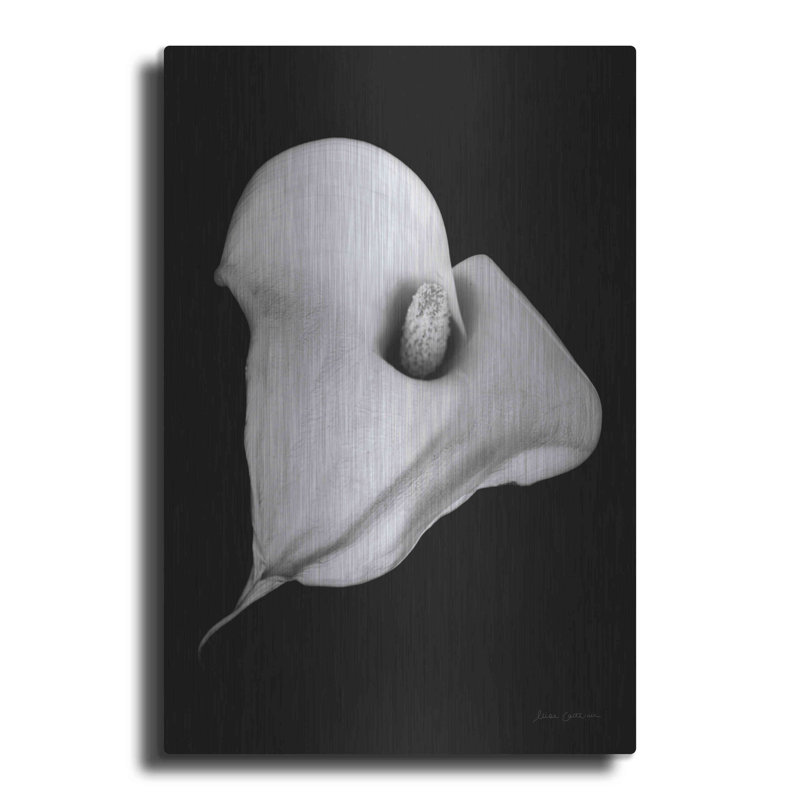 «Elegant Calla III» par Elise Catterall - reproduction d'art non encadrée, L 16 po x H 24 po