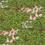 Schumacher X The New Yorker Margaret Schloeman's Fox Chase Fabric-1068635588