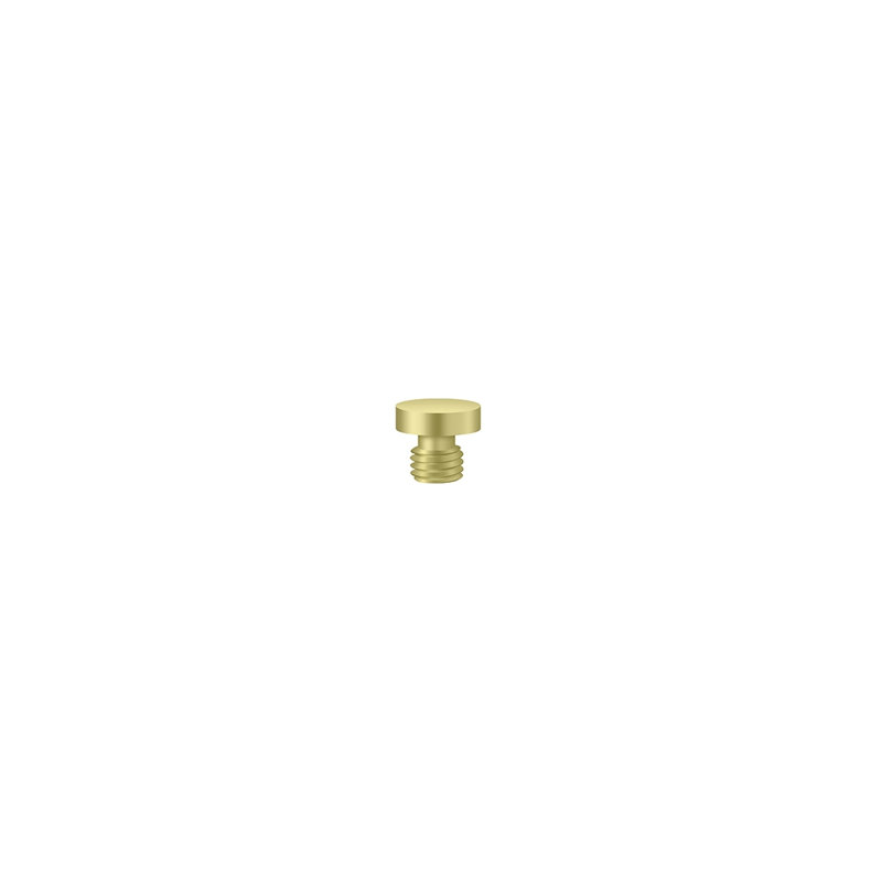 Deltana CHBU3 Deltana Free Swinging Full Mortise Hinges, Screw-on Polished Brass, Polished Brass