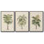 " Les Palmiers II " 3 - Pieces-97811931-97811933