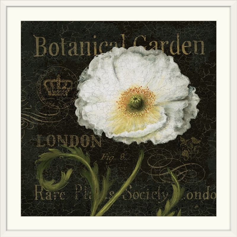 «Muraphami Botanical Garden II» par Daphne Brissonnet, impression, Cadre blanc, H 24 po x l 24 po x P 1 po