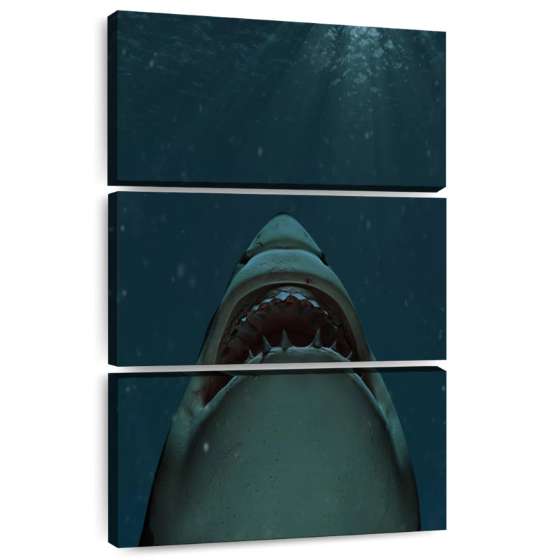 Albern Jaws Of Great White Shark
