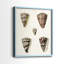 Cone Shell Collection III - reproduction encadrée de qualité supérieure - prête à être accrochée - aucun clou requis - aucun clou requis-108020366-108020367