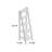 Kathia Ladder Bookshelf-1816681943