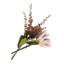 Protea Arrangement