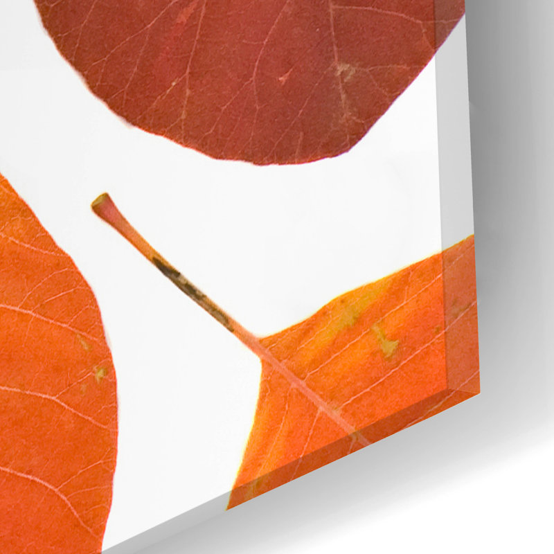 «Brown Leaves» par PhotoINC Studio, H 24 po x l 16 po x P 0,2 po