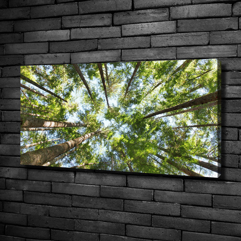 Crown Of Trees - No Frame Print on Canvas, 50cm H x 100cm W x 2cm D