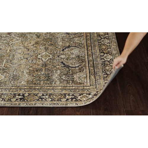 World Menagerie Giacinto Oriental Rug & Reviews - Wayfair Canada