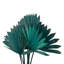 Tige de palmier Forsyth-2073409832