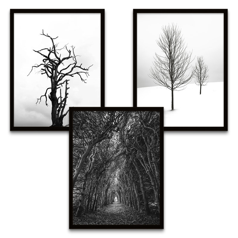 Solitude Lonely Tunnel Forest Trees - 3 Piece Print Set