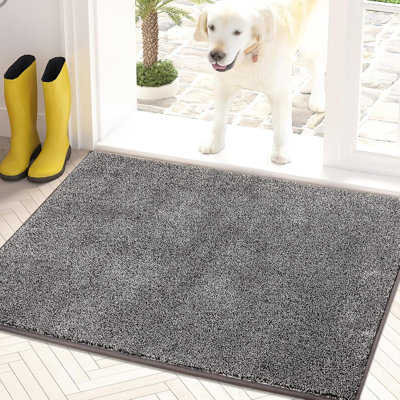 Doormat Non-Slip Machine Washable Entrance Rug, Dog Doormat, Super Absorbent Welcome Mat For Front Door, Back Door, Entryway, Muddy Wet Shoes And Paws