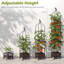 200cm H x 30cm W Gothic Trellis