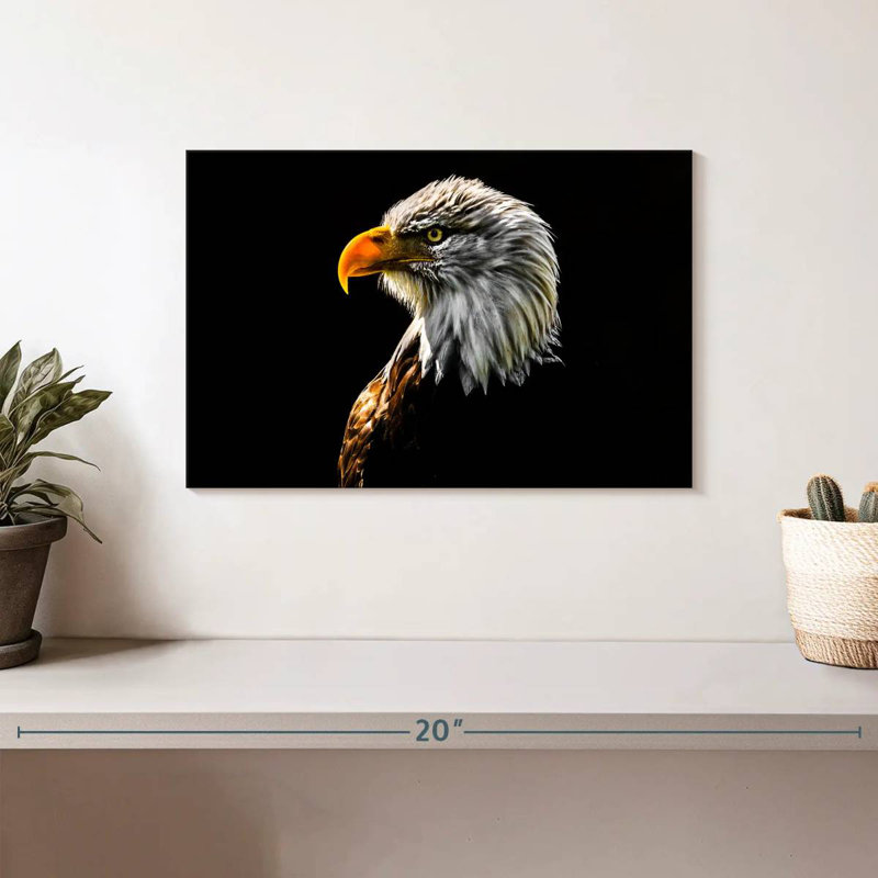 Gros plan d'un aigle à tête blanche, H 8 po x l 12 po
