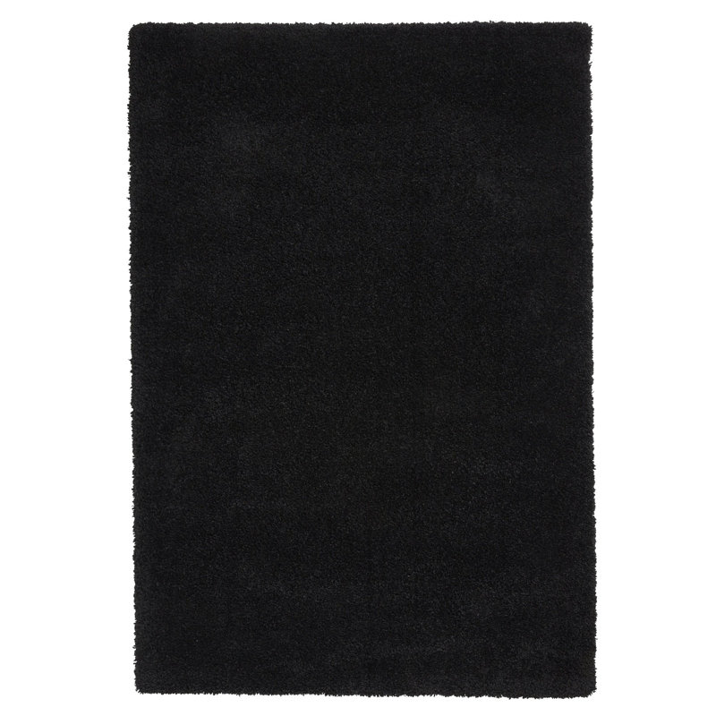 Tsaile area rug Machine Woven Rectangle Black, Rectangle 160 x 220cm