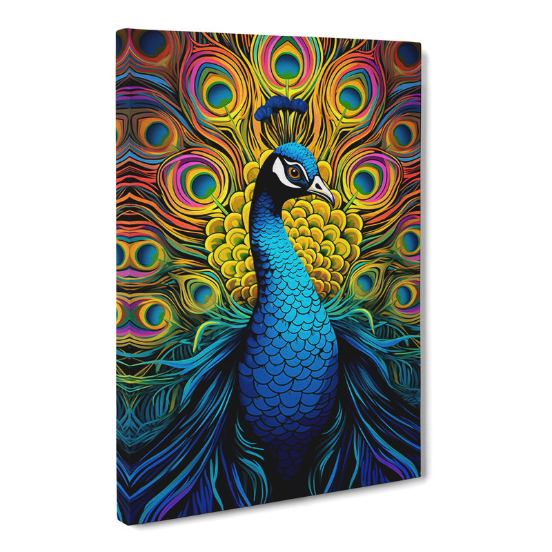 Peacock Op - Wrapped Canvas, 76cm H x 50cm W x 3cm D