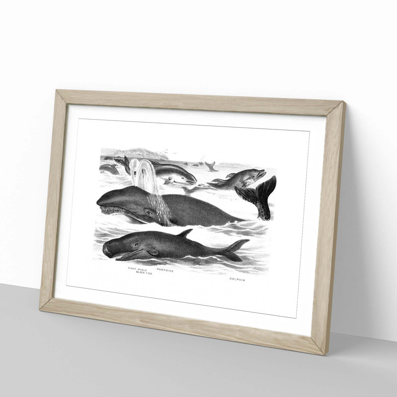 Whales & Dolphins by John Karst - Picture Frame Painting Print, 36cm H x 48cm W x 2cm D, Oak Framed